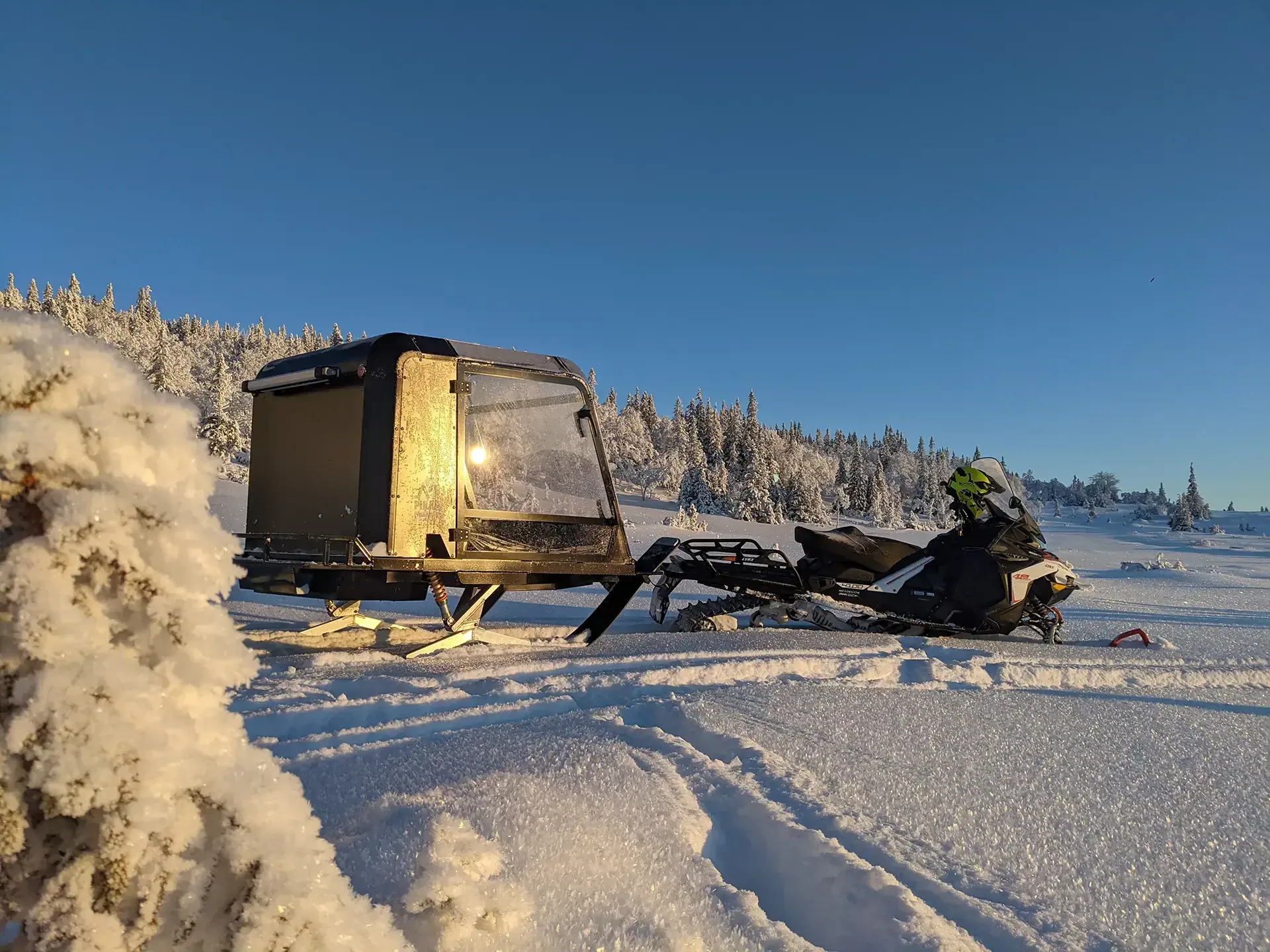 Pulkapanorama in golden evening light among snow-covered spruces